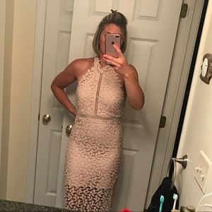 Bardot Lace Illusion Dress